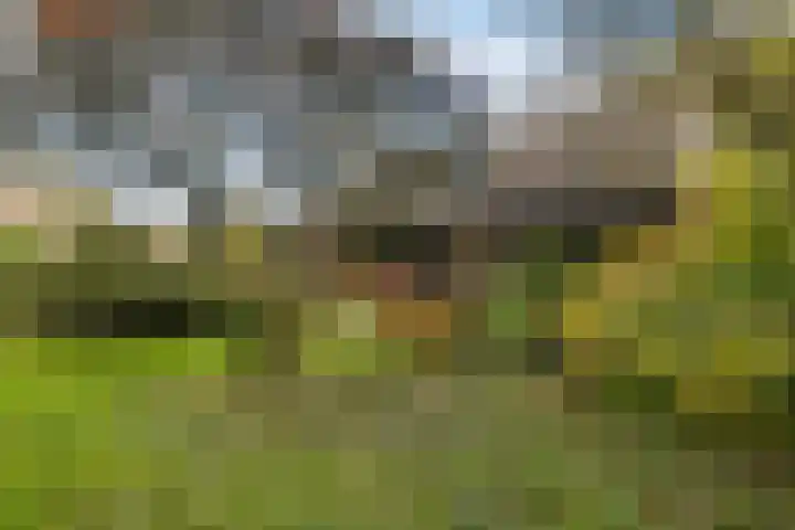 Brahmsweg 3 Eelde thumbnail 43