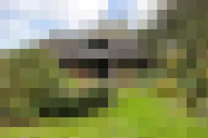 Brahmsweg 3 Eelde thumbnail 44