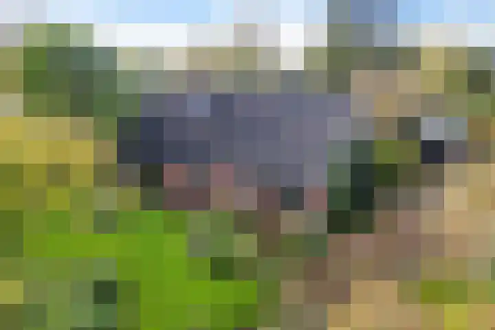 Brahmsweg 3 Eelde thumbnail 45