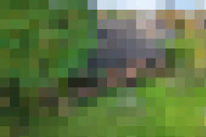 Brahmsweg 3 Eelde thumbnail 46