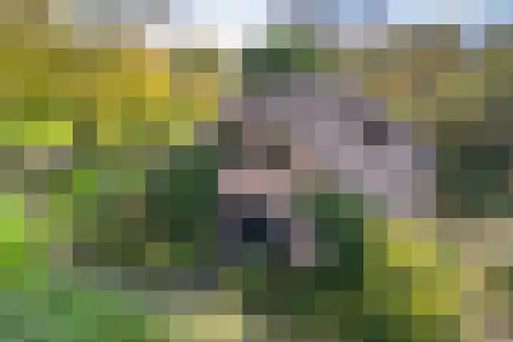 Brahmsweg 3 Eelde thumbnail 47