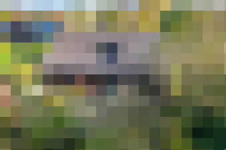 Brahmsweg 3 Eelde thumbnail 48