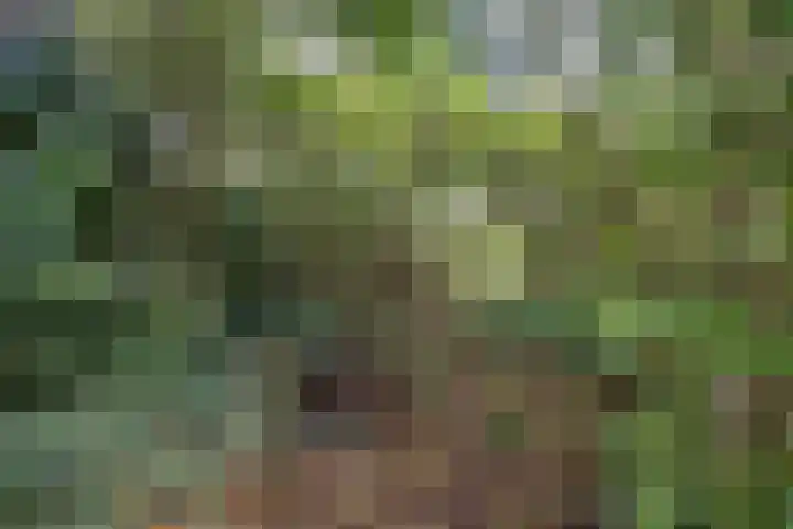 Brahmsweg 3 Eelde thumbnail 49