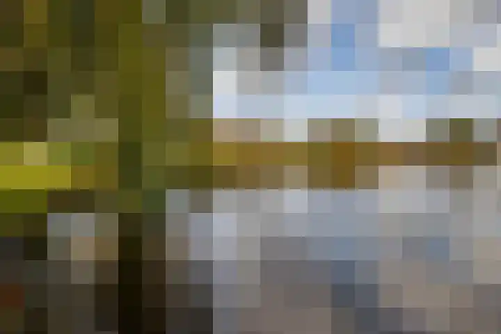 Brahmsweg 3 Eelde thumbnail 50