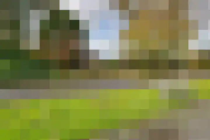 Brahmsweg 3 Eelde thumbnail 51