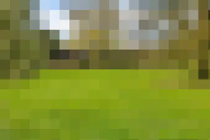 Brahmsweg 3 Eelde thumbnail 52