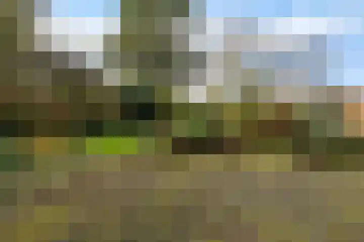 Brahmsweg 3 Eelde thumbnail 53