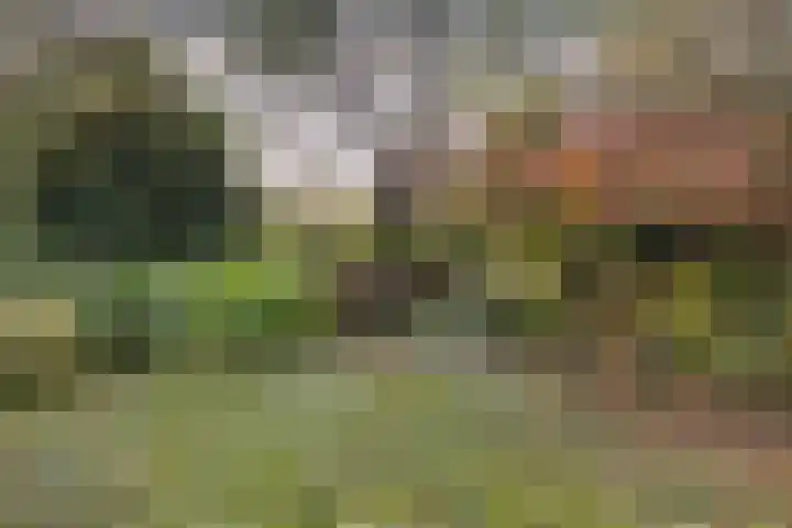 Brahmsweg 3 Eelde thumbnail 54