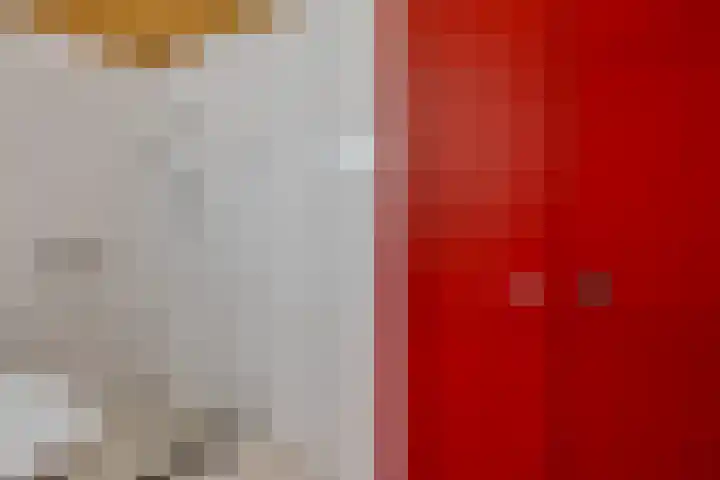 Brahmsweg 3 Eelde thumbnail 9