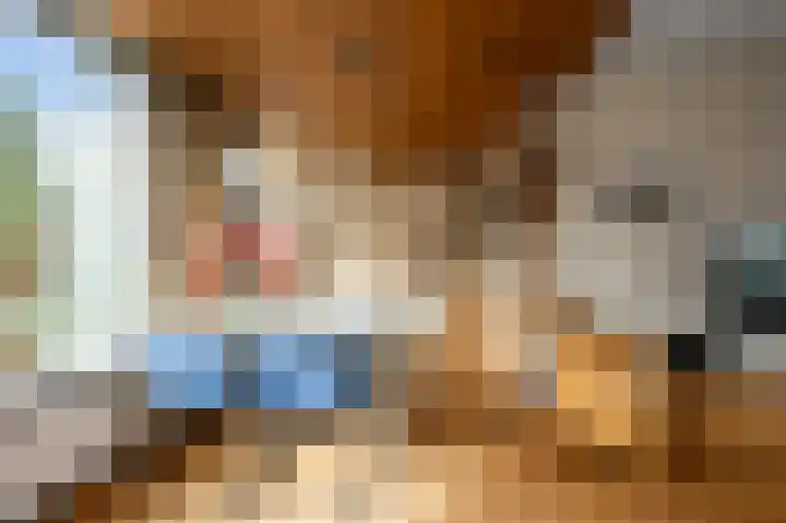 Braillestraat 12 Krommenie thumbnail 10