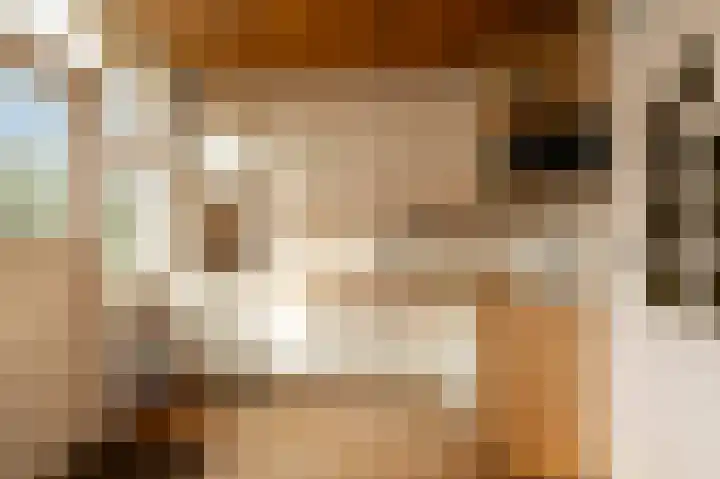 Braillestraat 12 Krommenie thumbnail 12