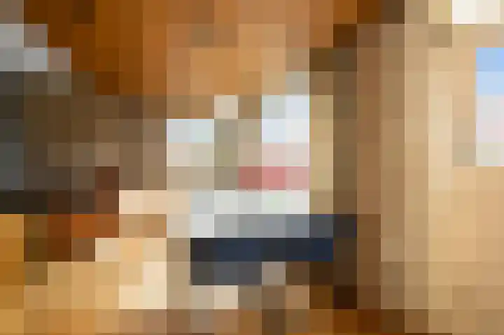 Braillestraat 12 Krommenie thumbnail 13