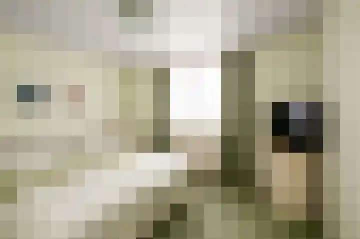 Braillestraat 12 Krommenie thumbnail 18