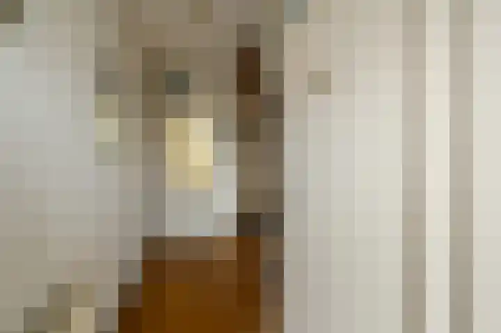 Braillestraat 12 Krommenie thumbnail 4