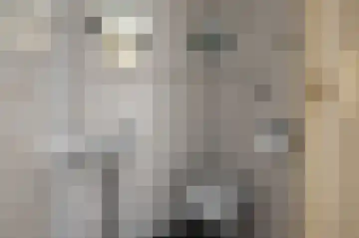 Braillestraat 12 Krommenie thumbnail 5