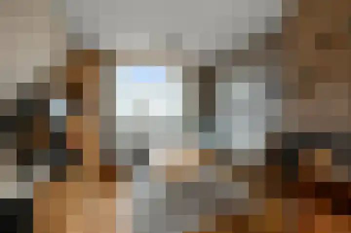 Braillestraat 12 Krommenie thumbnail 7