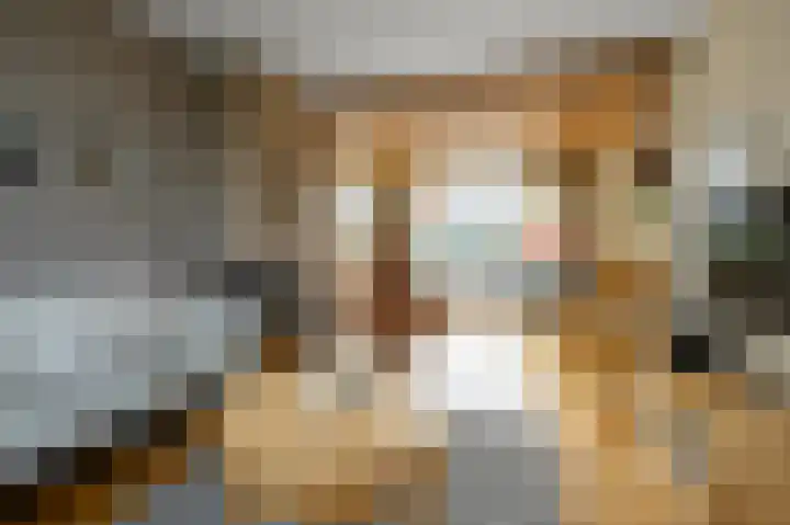 Braillestraat 12 Krommenie thumbnail 8
