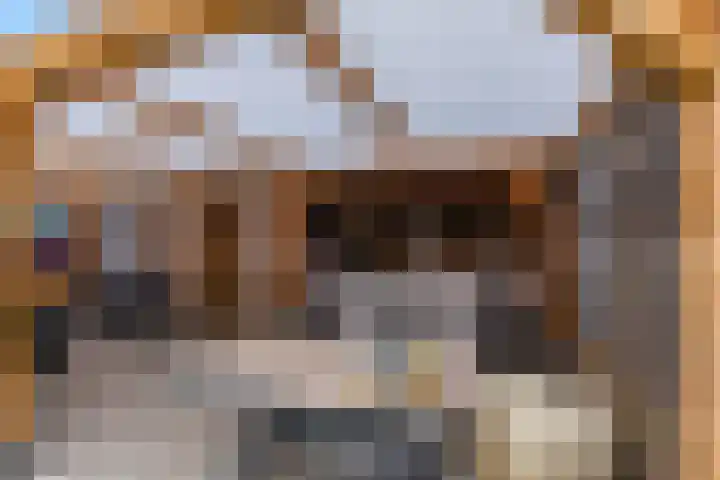 Braillestraat 15 Grave thumbnail 11