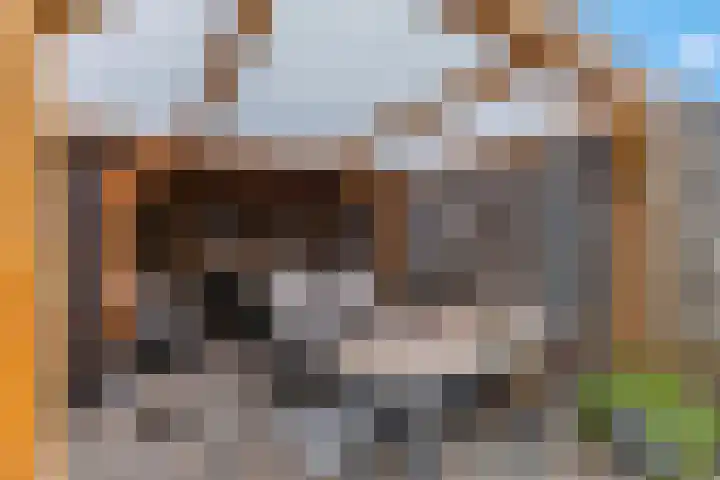 Braillestraat 15 Grave thumbnail 12