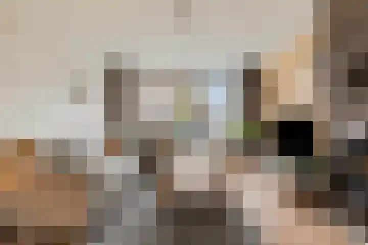 Braillestraat 15 Grave thumbnail 17