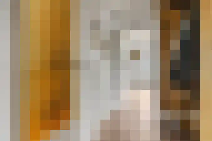 Braillestraat 15 Grave thumbnail 18