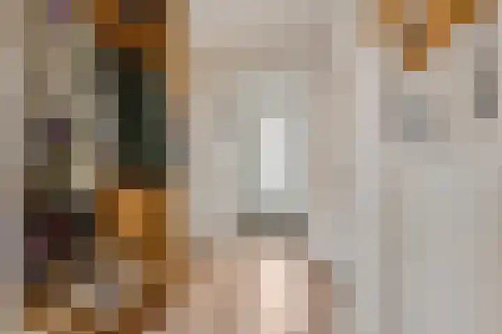 Braillestraat 15 Grave thumbnail 19