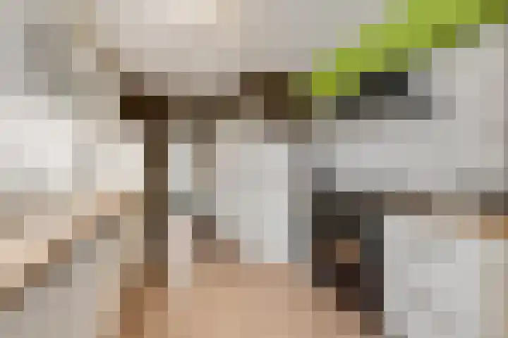 Braillestraat 15 Grave thumbnail 21