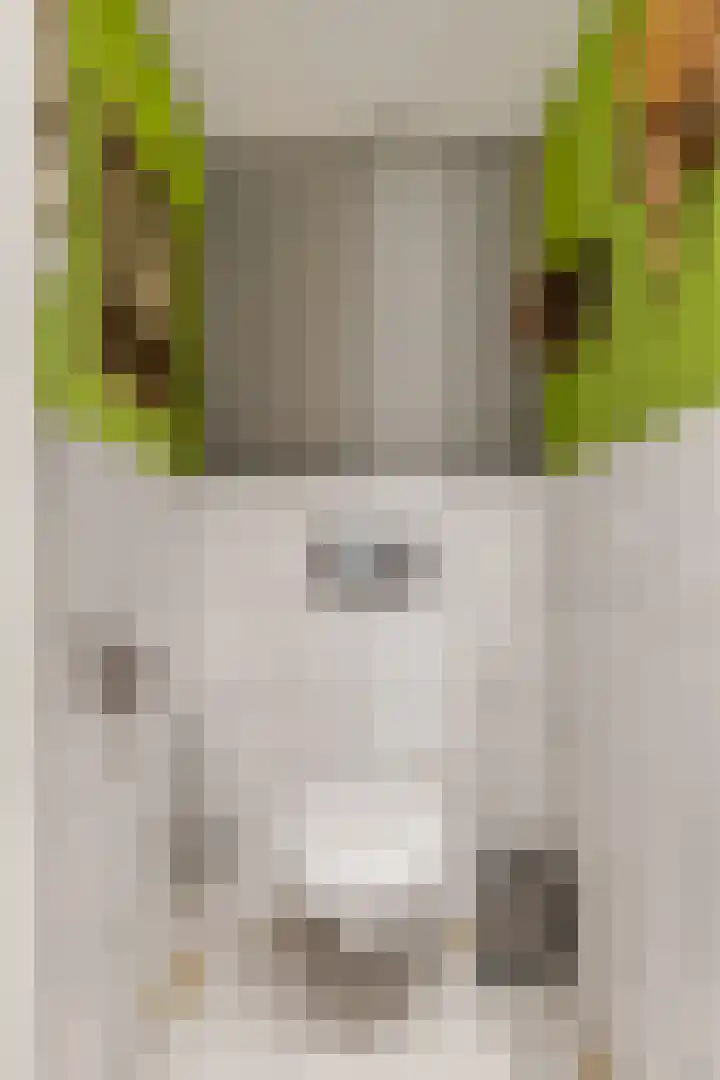 Braillestraat 15 Grave thumbnail 22