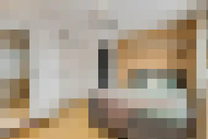 Braillestraat 15 Grave thumbnail 23
