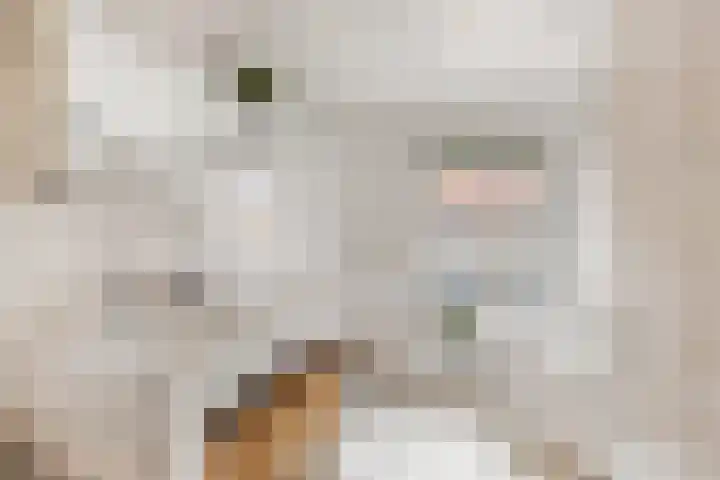 Braillestraat 15 Grave thumbnail 29