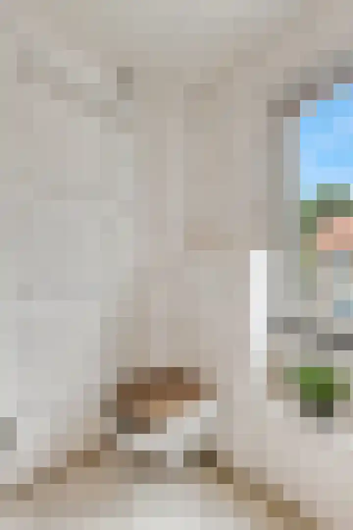 Braillestraat 15 Grave thumbnail 31