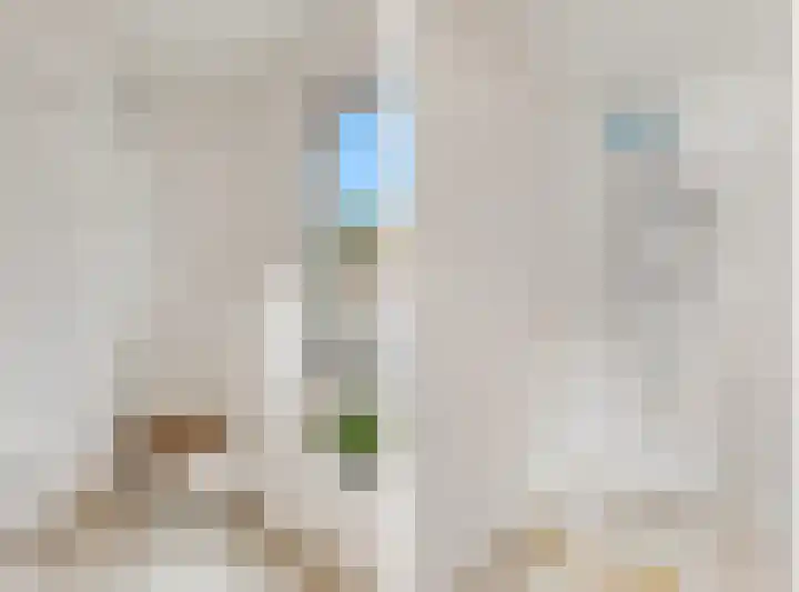 Braillestraat 15 Grave thumbnail 32