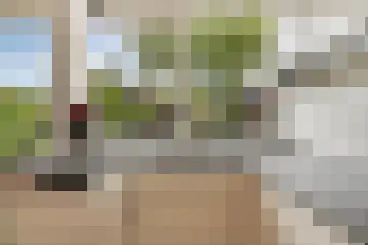 Braillestraat 25 Krommenie thumbnail 10