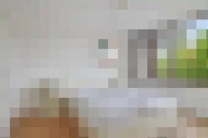 Braillestraat 25 Krommenie thumbnail 13