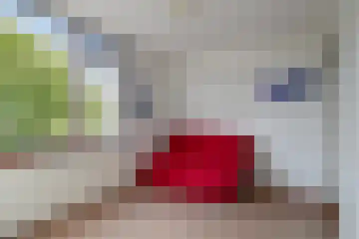 Braillestraat 25 Krommenie thumbnail 15