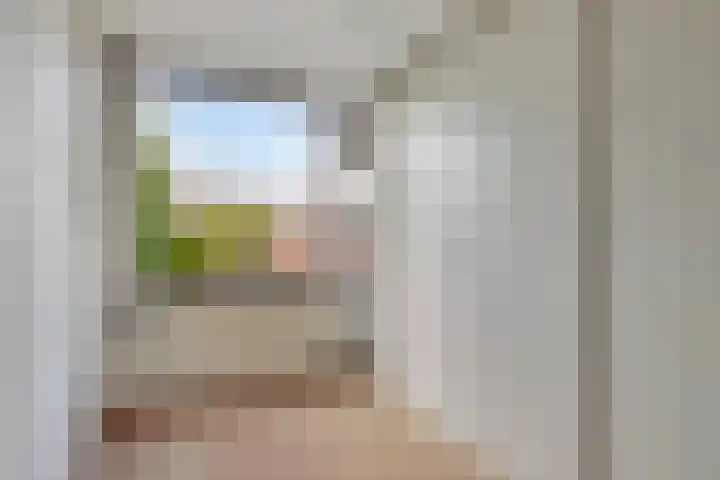 Braillestraat 25 Krommenie thumbnail 17