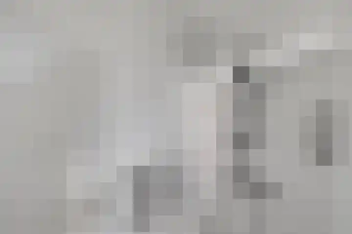 Braillestraat 25 Krommenie thumbnail 20