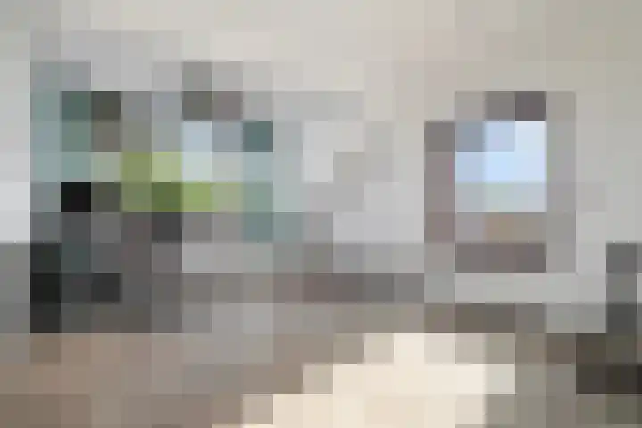 Braillestraat 25 Krommenie thumbnail 25