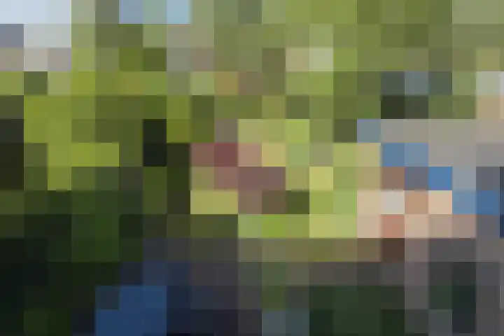 Braillestraat 25 Krommenie thumbnail 26