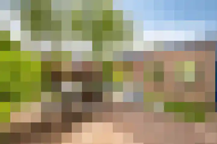 Braillestraat 25 Krommenie thumbnail 27