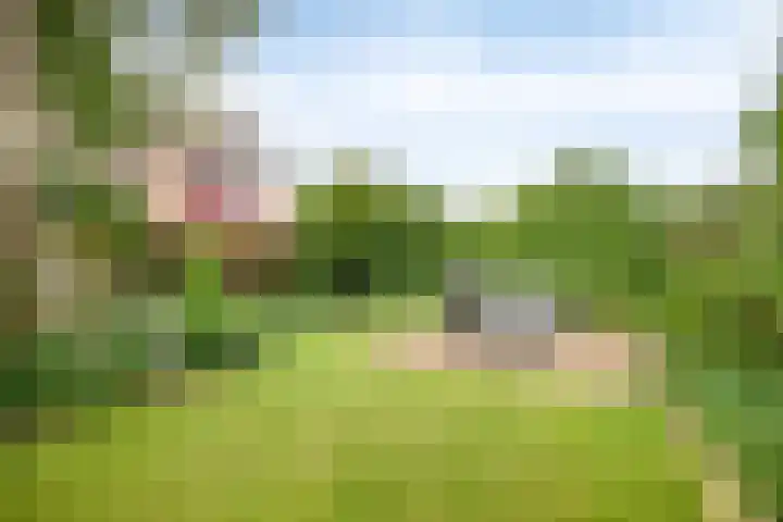 Braillestraat 25 Krommenie thumbnail 29