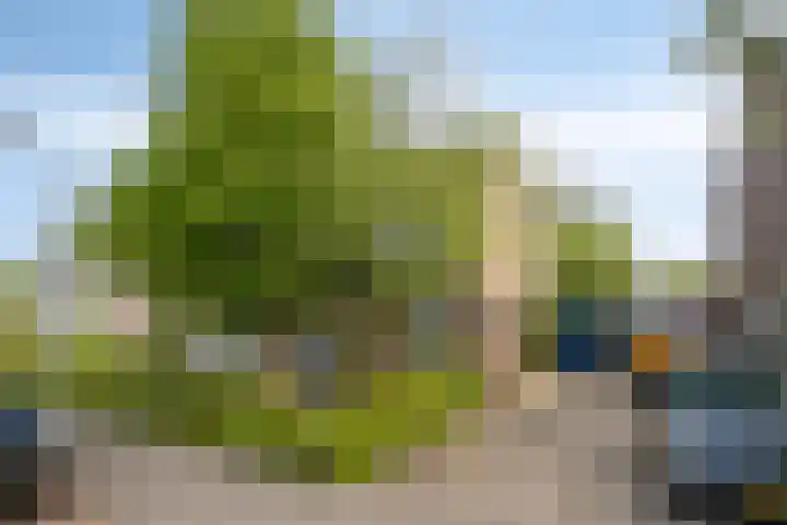Braillestraat 25 Krommenie thumbnail 30