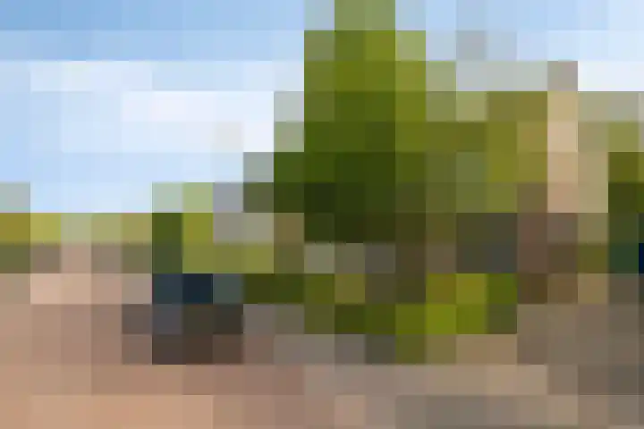 Braillestraat 25 Krommenie thumbnail 31