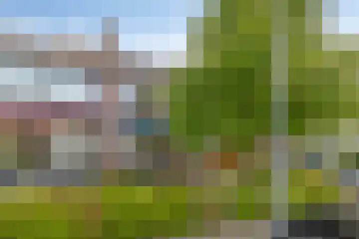 Braillestraat 25 Krommenie thumbnail 32