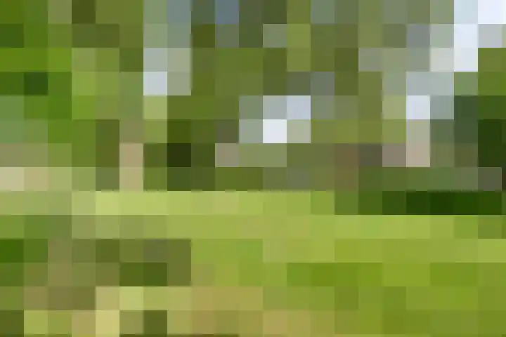 Braillestraat 25 Krommenie thumbnail 33
