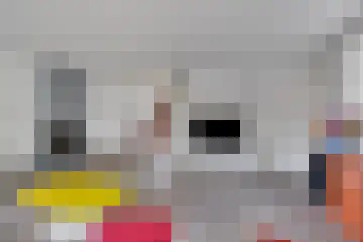 Braillestraat 25 Krommenie thumbnail 4