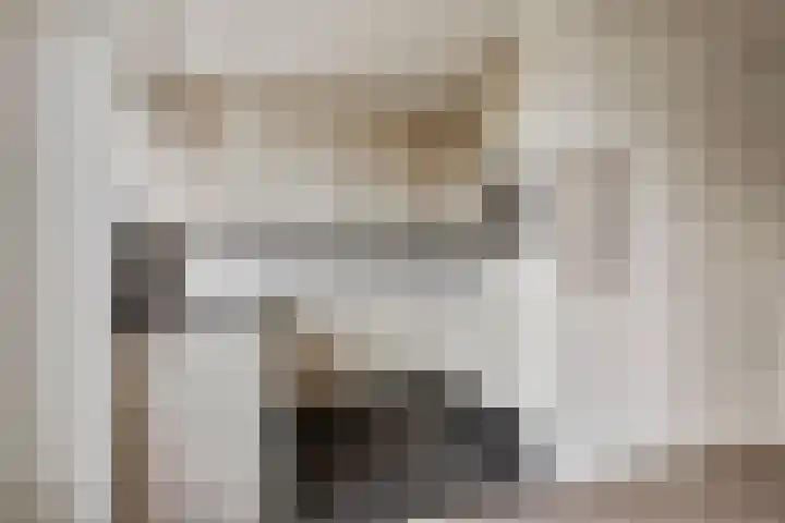 Braillestraat 25 Krommenie thumbnail 8
