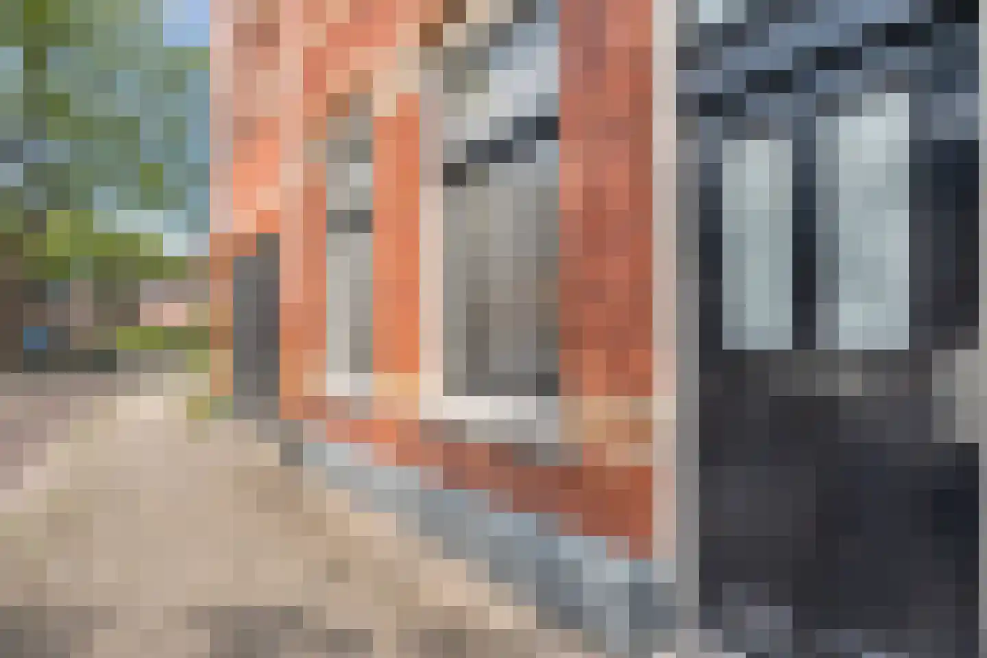 Braillestraat 27 Zwolle thumbnail 6