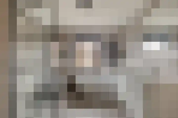 Braillestraat 3 Grave thumbnail 24