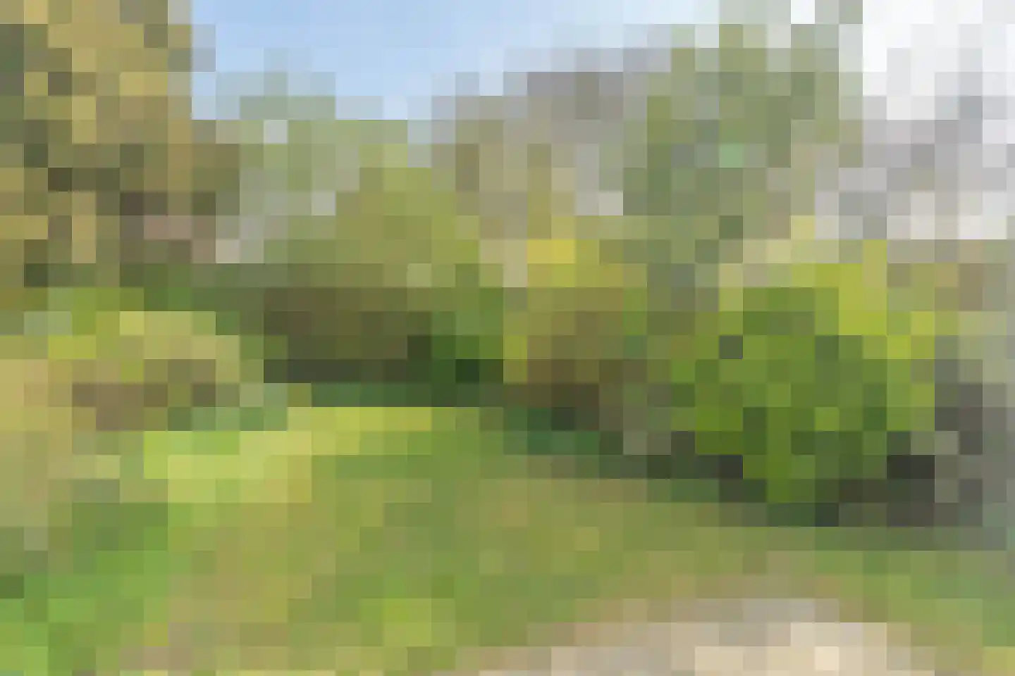 Braillestraat 7 Kruiningen thumbnail 49